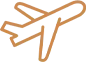 Viccina